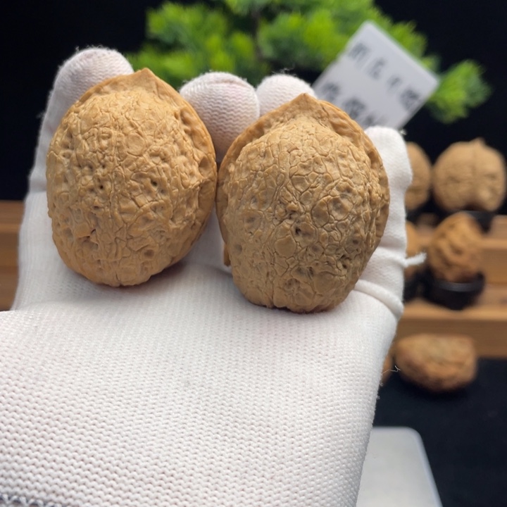 把件文玩核桃云南铁核桃28