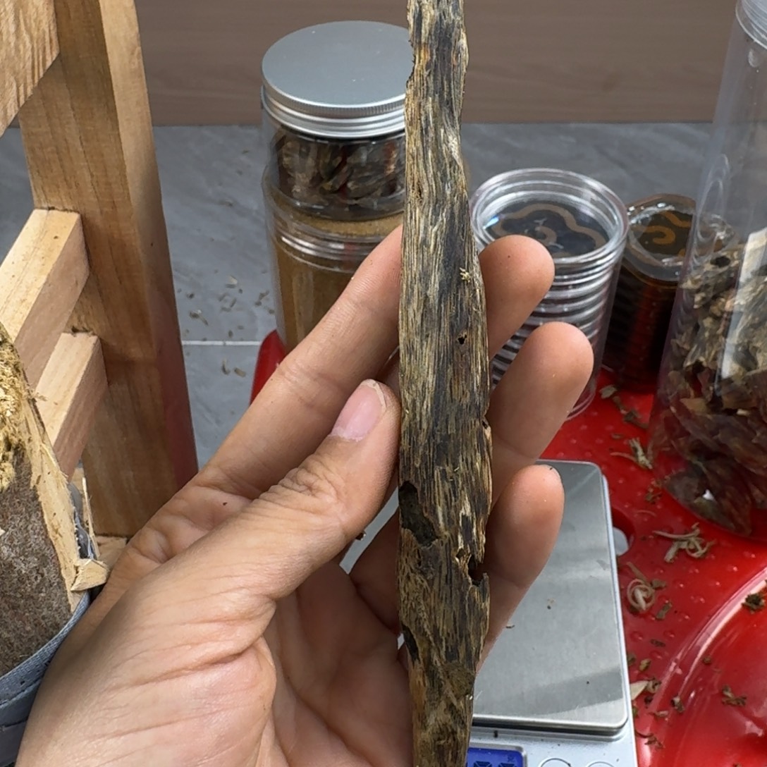 香料绿奇楠虫漏陆河12克