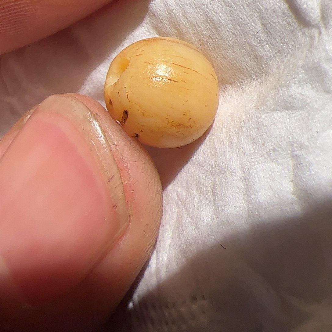 香榧木你的时候你