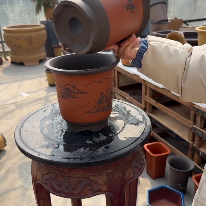 紫砂花盆紫砂花盆