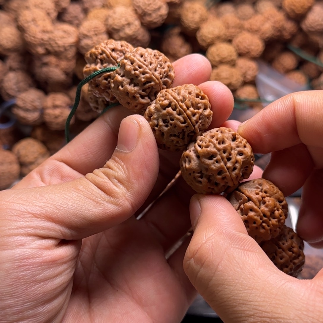 手串金刚菩提16号金刚