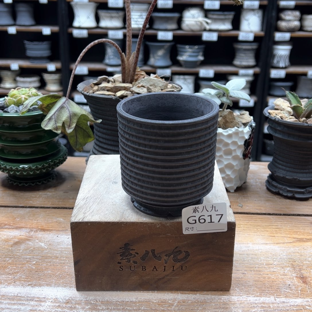 素八九陶瓷内口8.5高9.5