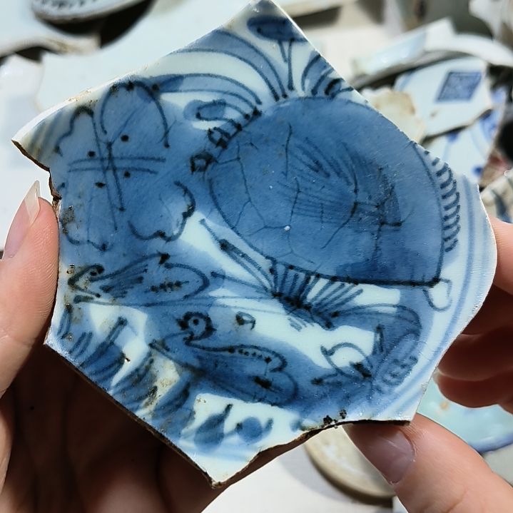 瓷片瓷片瓷片瓷片瓷片