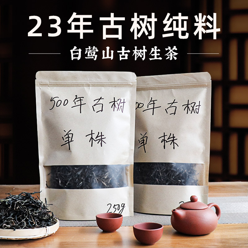 【6号链接】2023白莺山五百年古树单株