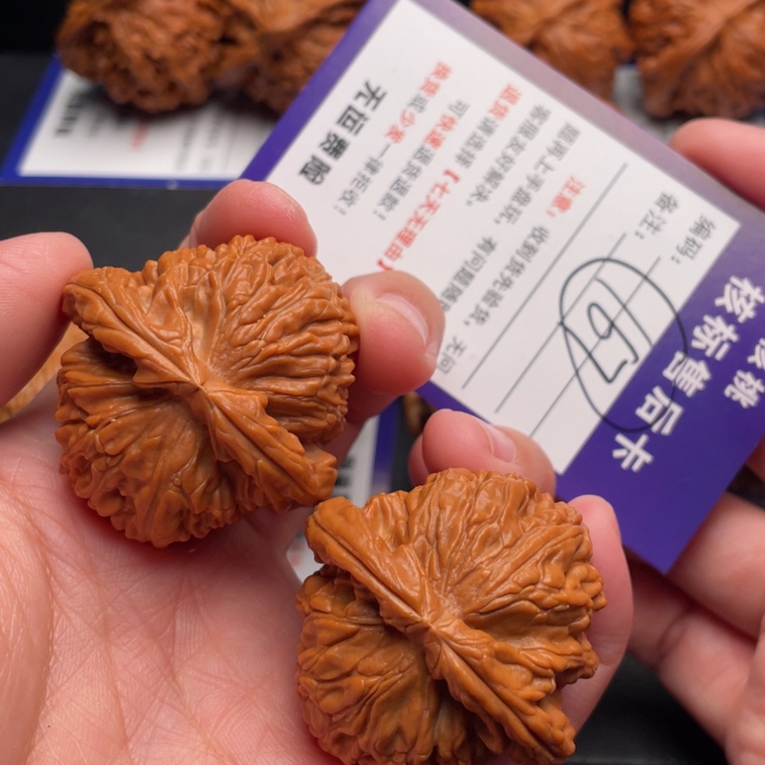 文玩核桃把件白狮子42