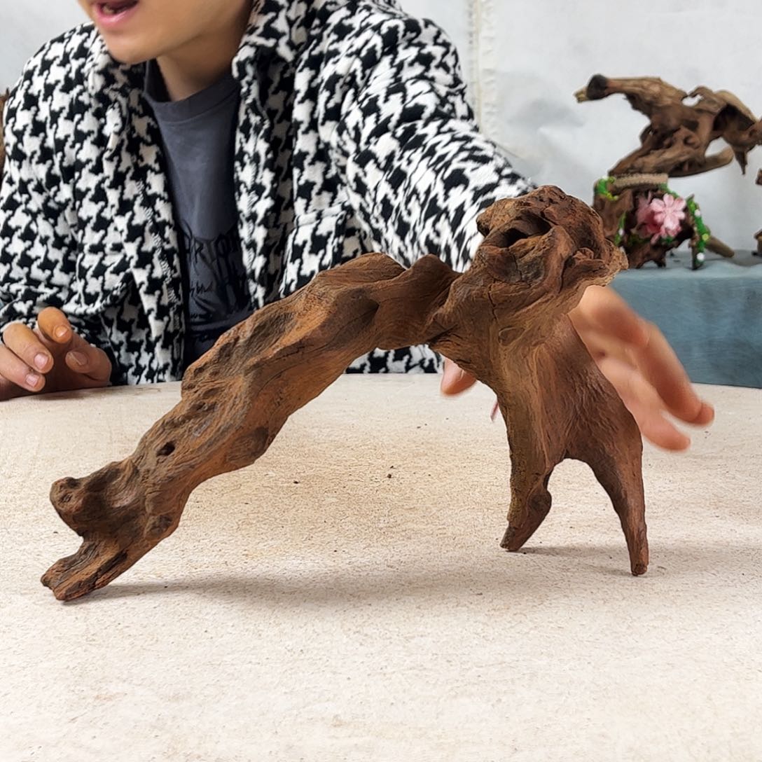 优***傅沉木造景爬宠造景