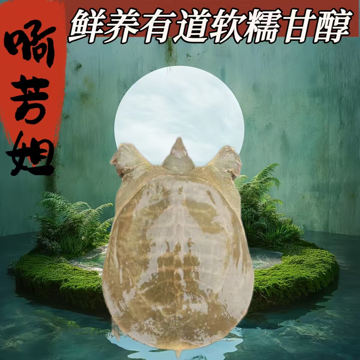 河南信阳固始县鱼米之乡，水质清澈，10大养生之一盛产甲鱼