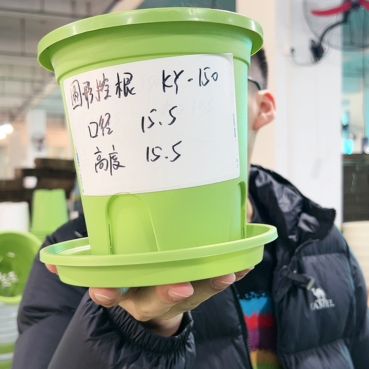 正品圆控口15高15果绿带托10只