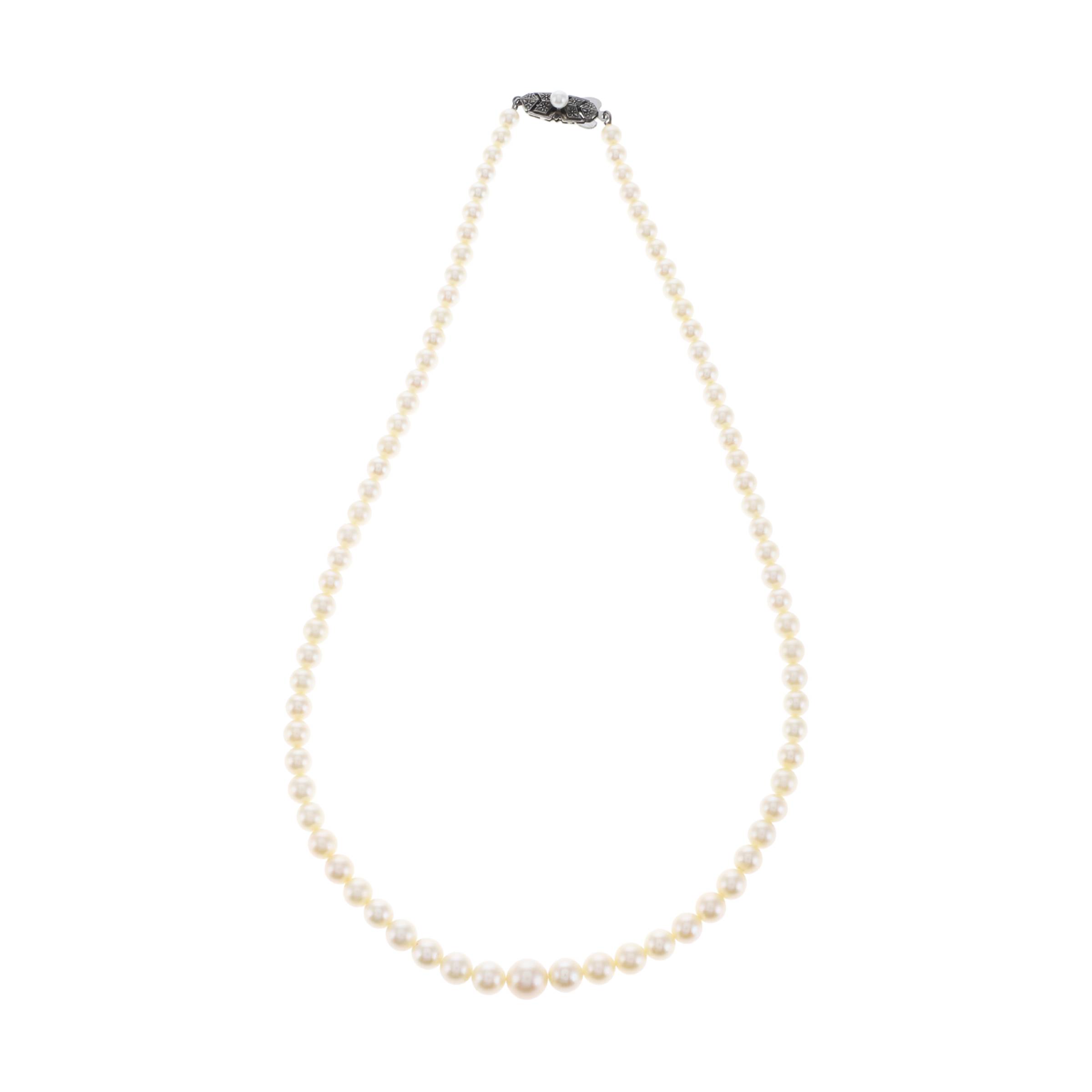 红布林/C1开箱/御木本/26238424/z/121287