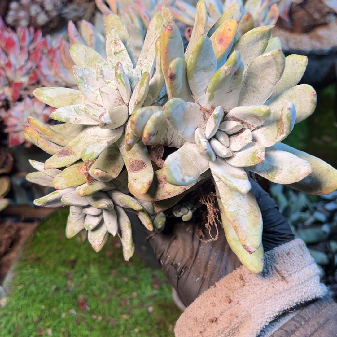 8497哈哈哈哈哈哈哈