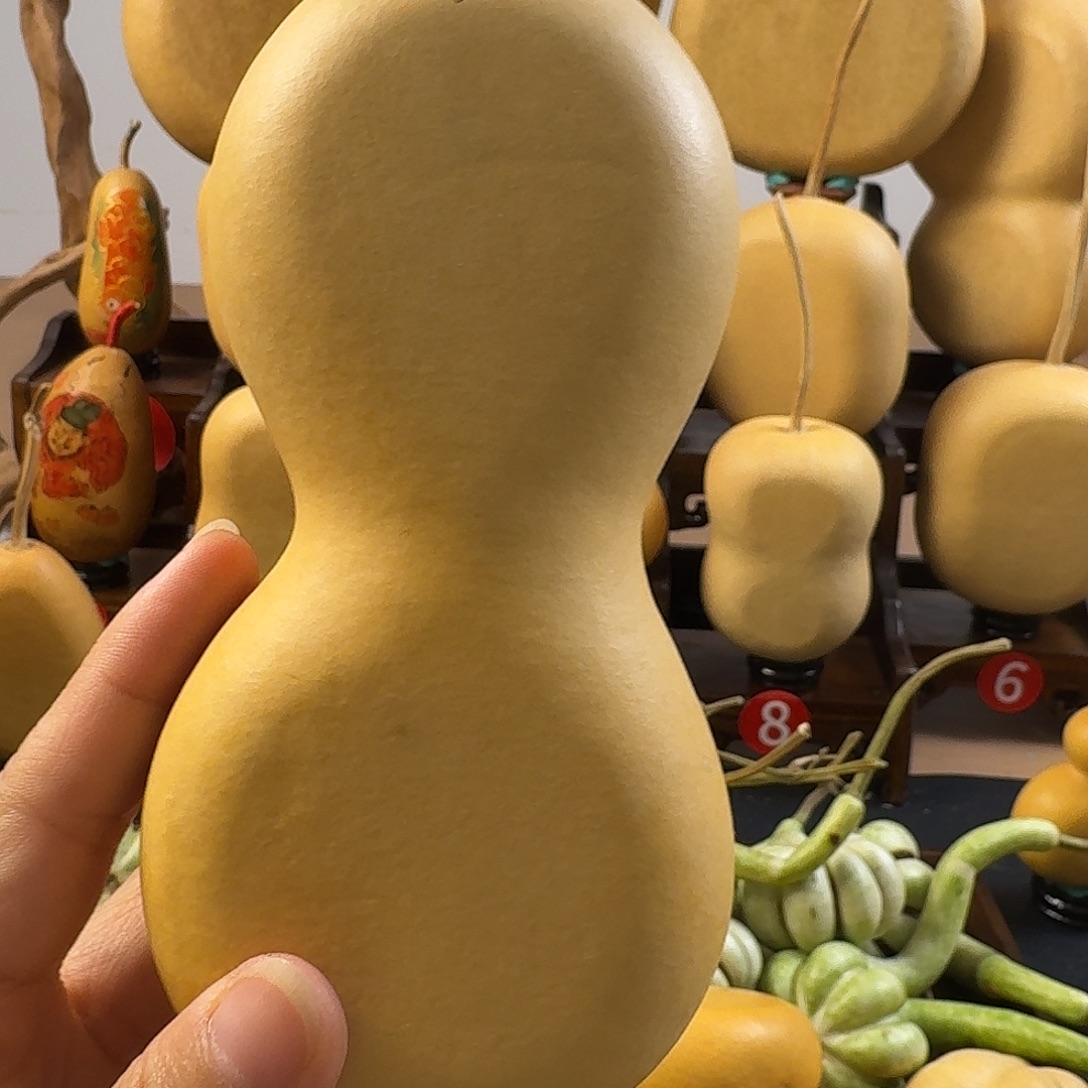 玖***六大叶紫檀（黑酸枝木类）