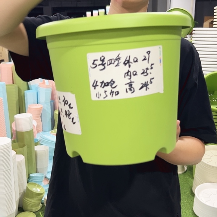 特价5号口29高24.5果绿无托6只