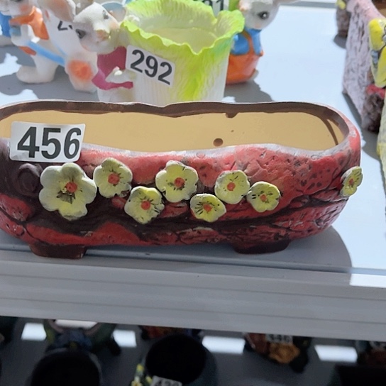 多肉植物花盆花盆