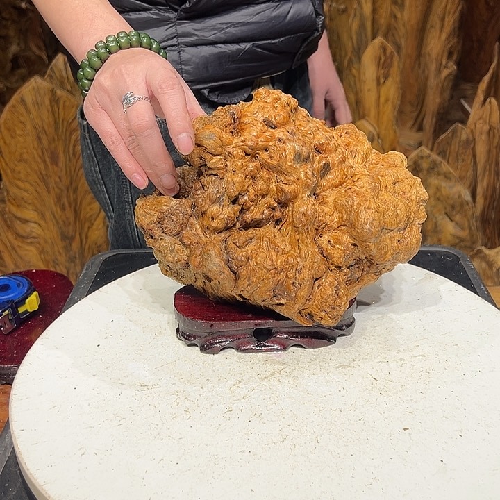 松木（琥珀木）x*x