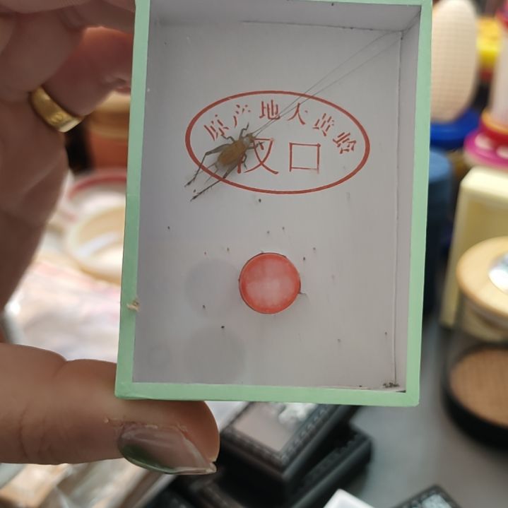 休***刻啊哈哈哈哈哈哈哈哈