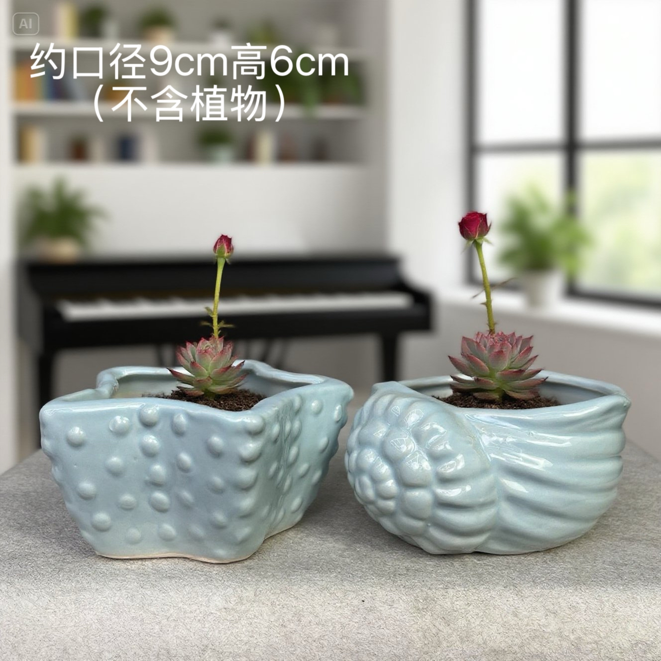 海洋风格创意卡通多肉花盆小号拇指盆组合绿植盆