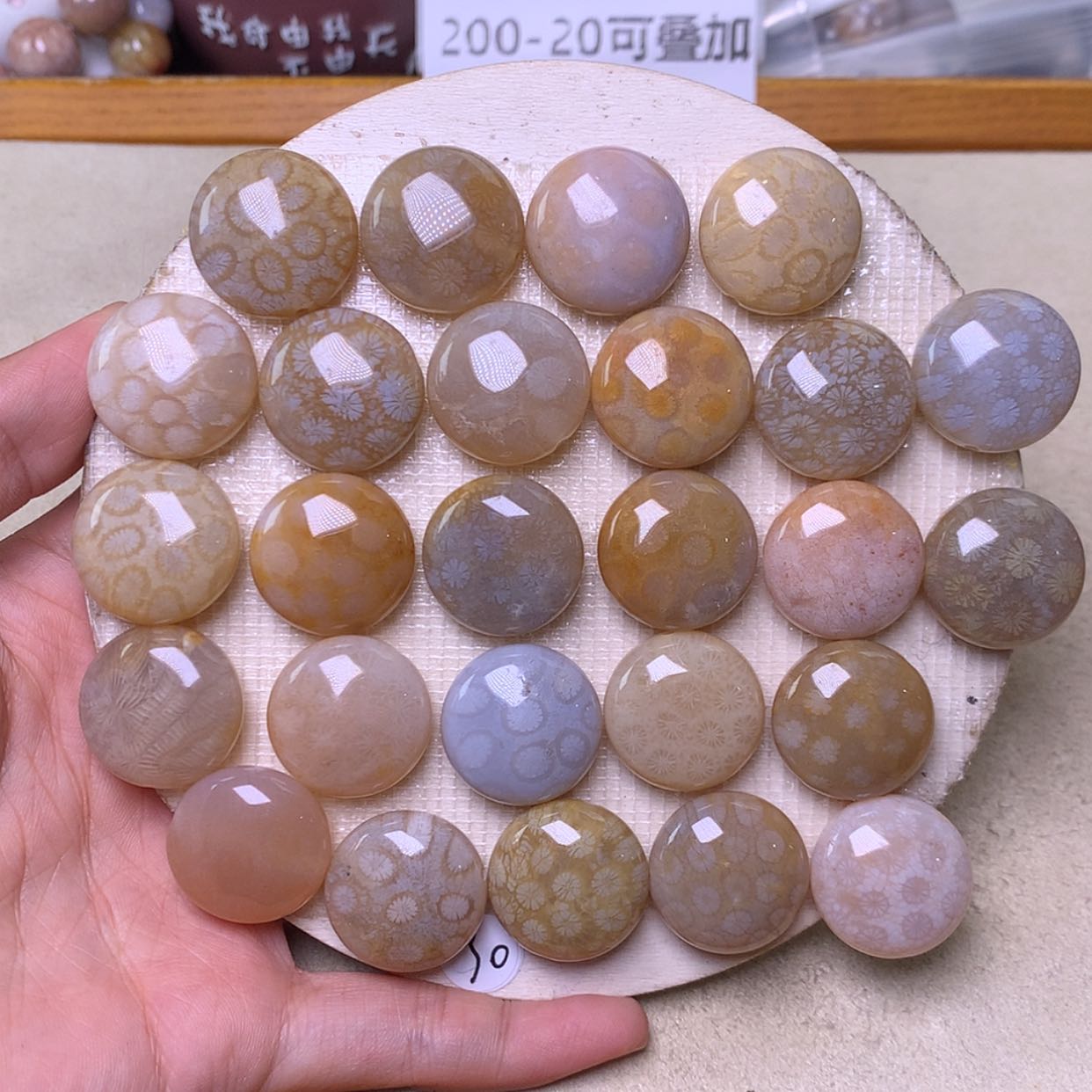 【闪购商品】硅化珊瑚（珊瑚玉）手镯未镶嵌大糖豆30元一颗，可挑选