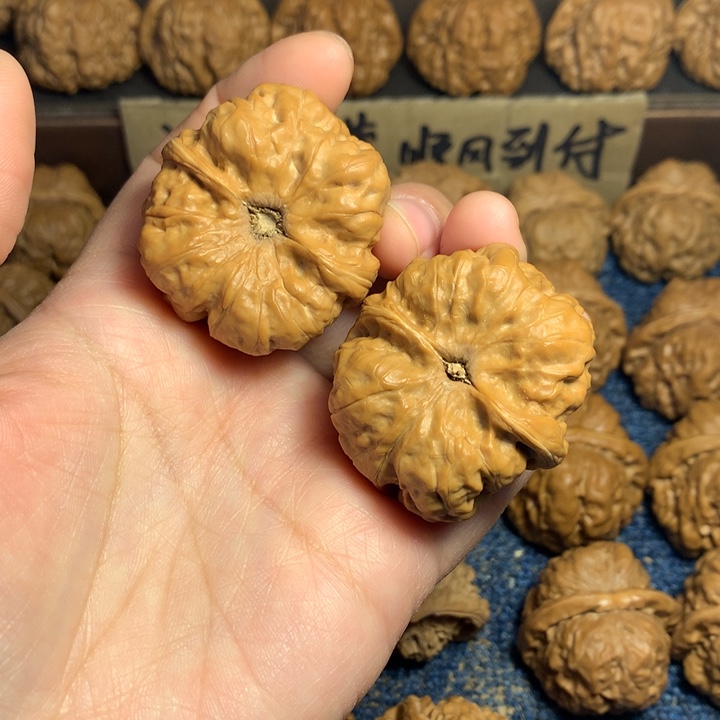 桃核吊坠星***？蛤蟆核桃