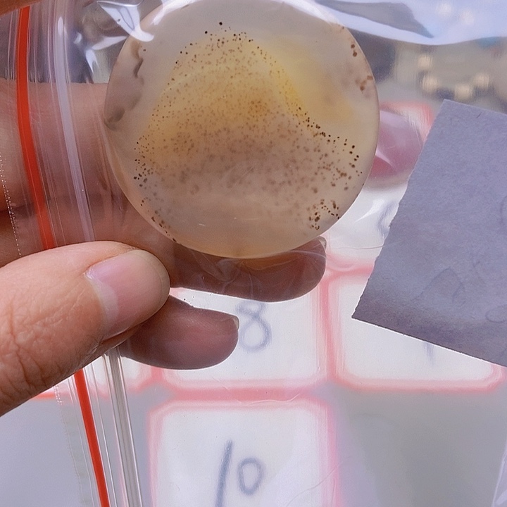 【闪购商品】未镶嵌玛瑙/玉髓珠宝半成品6***3