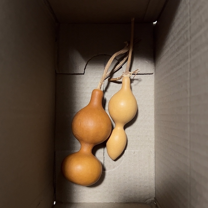 中****4不退不换不退不换
