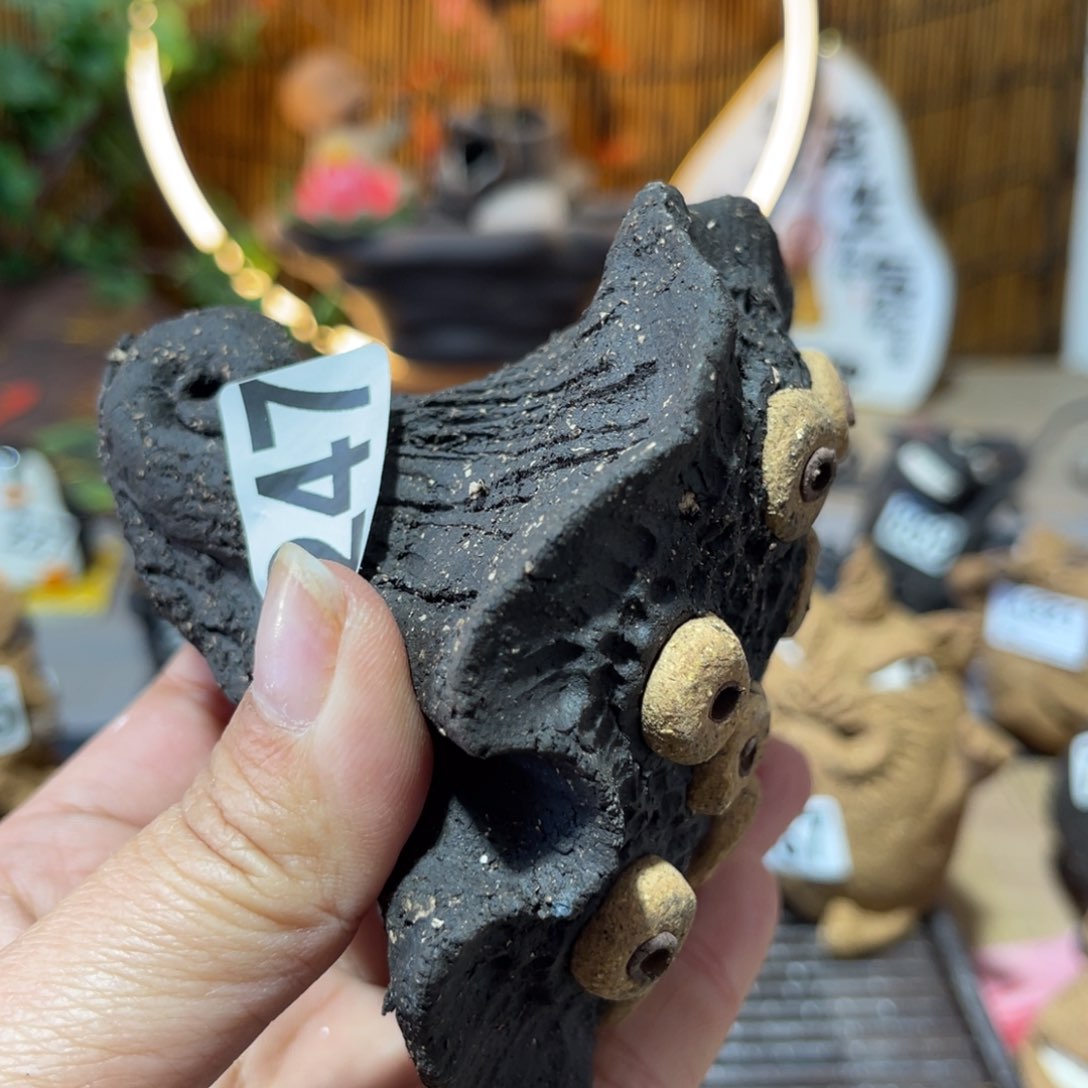 木村信弘柴烧保平