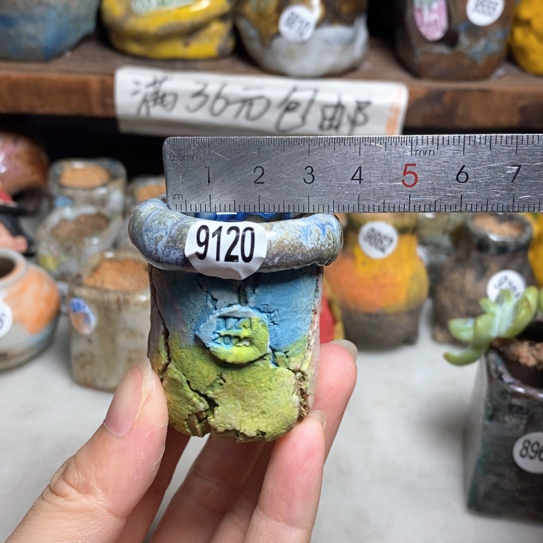 拍3送一个小礼物