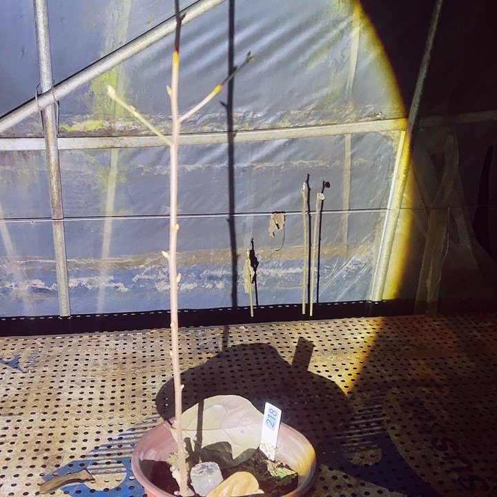 斌***无花朵哈哈哈哈哈哈哈