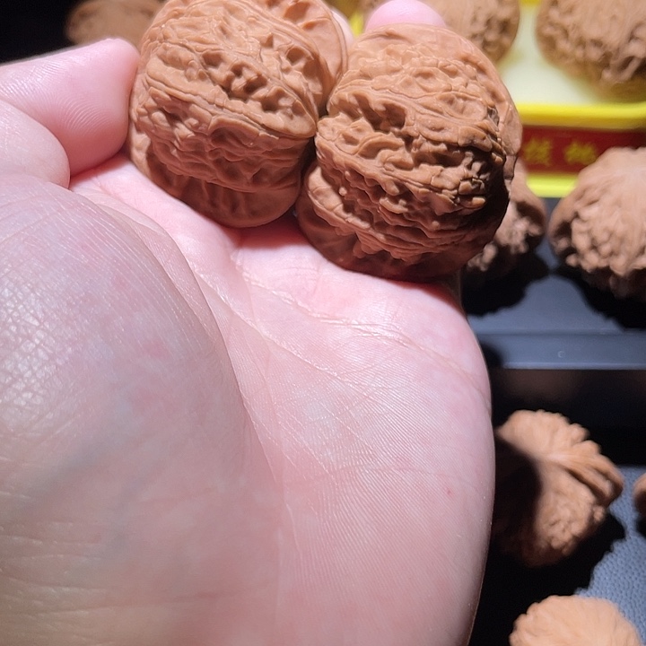 45全品无修白狮子