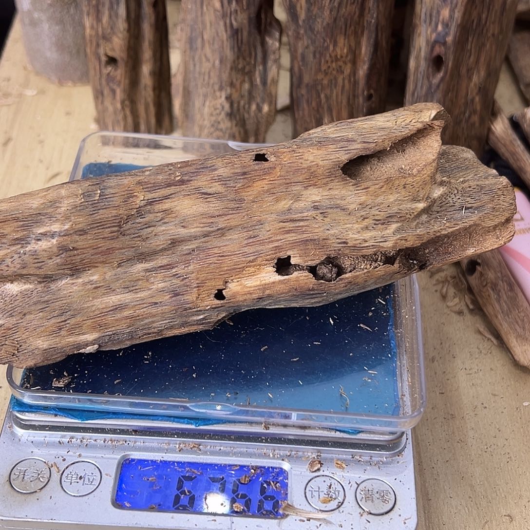 香料绿奇楠虫漏63克白棋