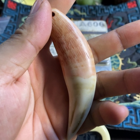 大哥专拍链接一号 