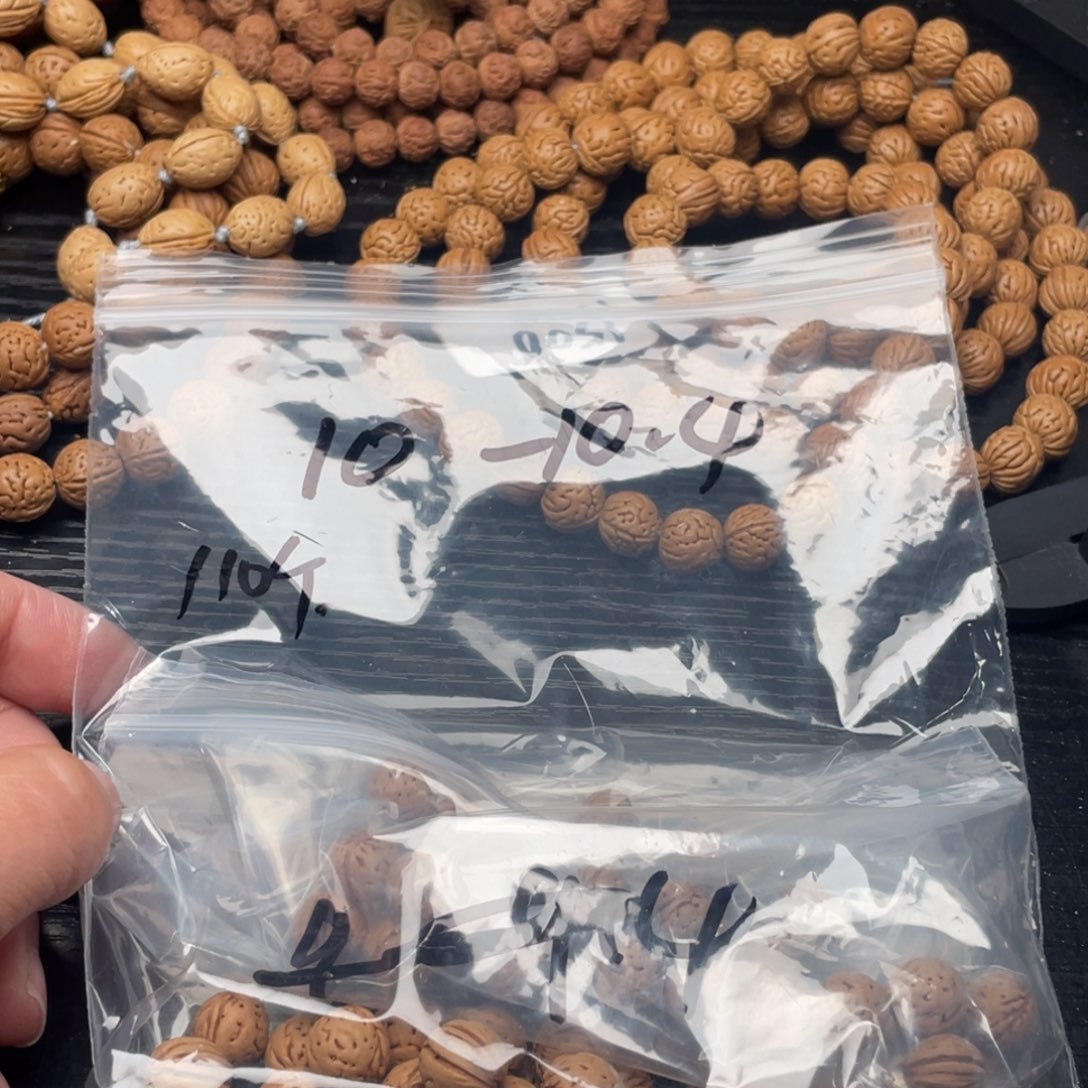 【闪购商品】芽****菌散子发货160米