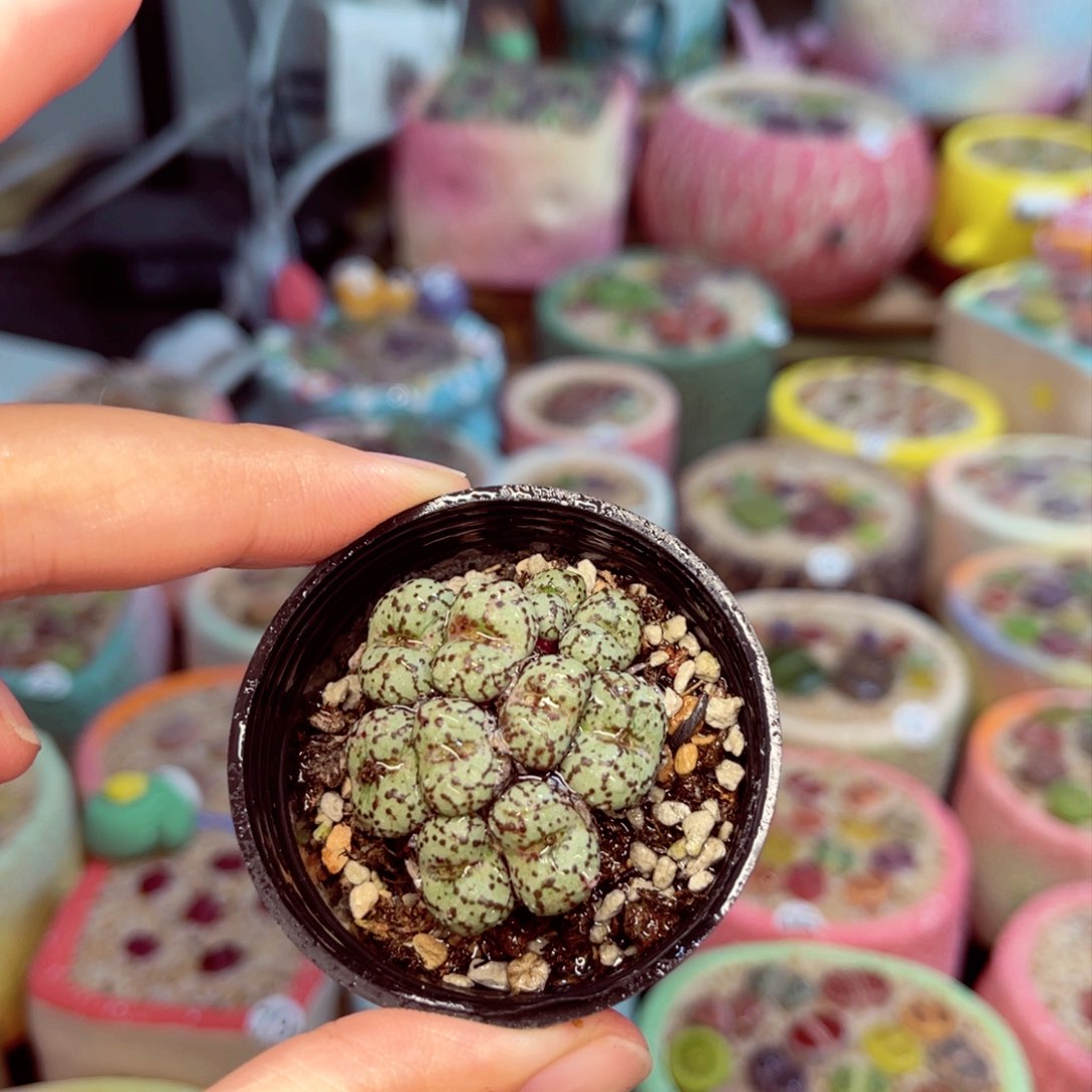 335。88888888888888