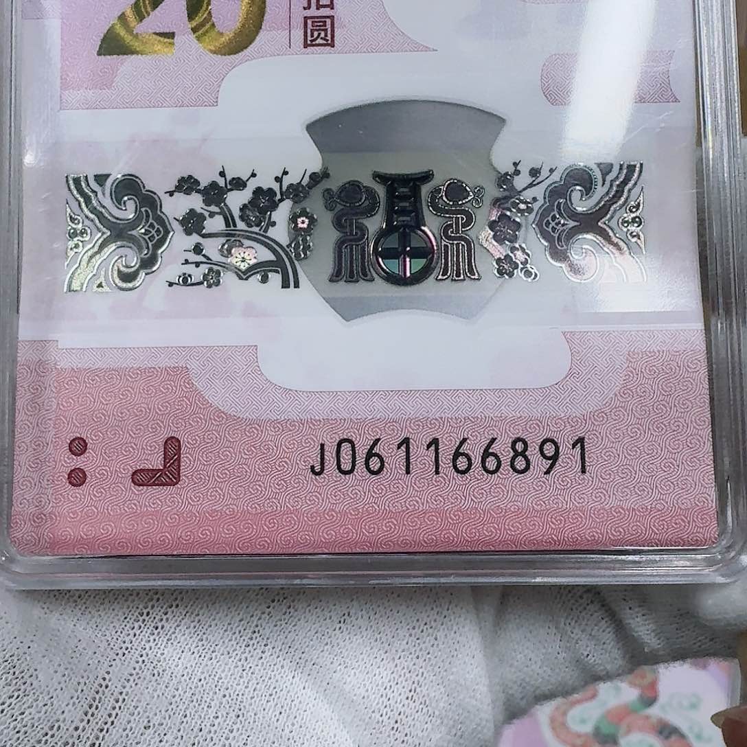 蛇钞纪念蛇钞纪念