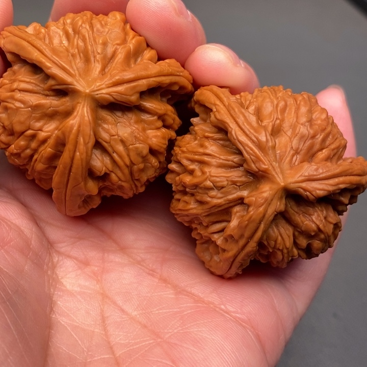 翱***哥木质类核桃核桃核桃