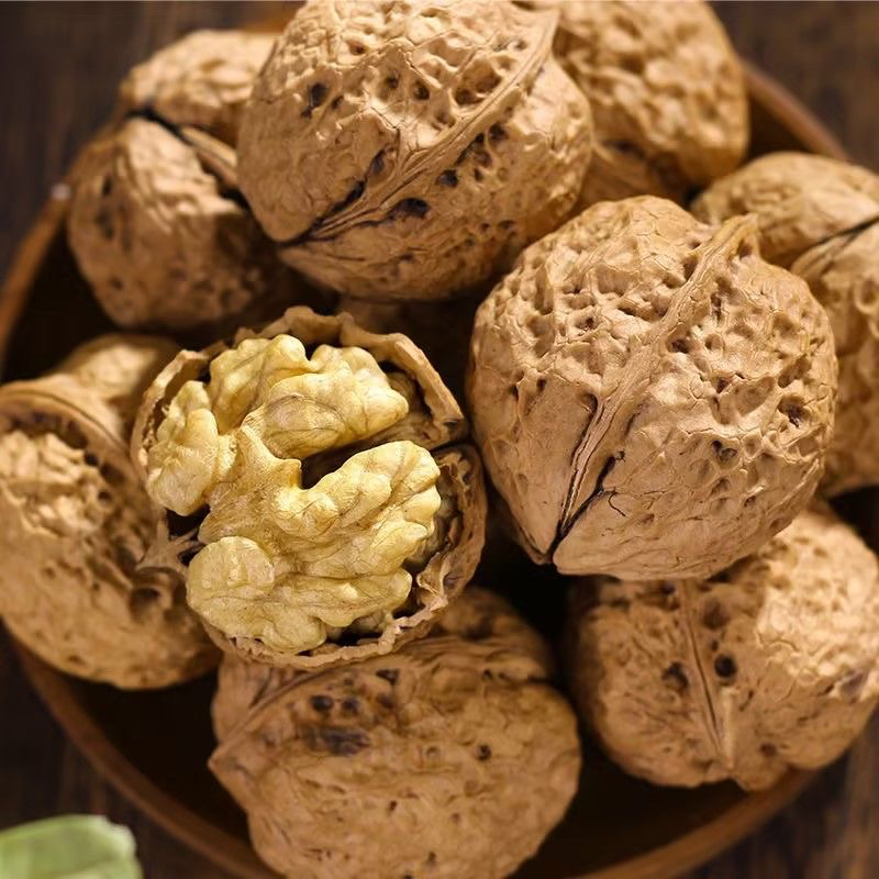 云南大集现老品种核桃