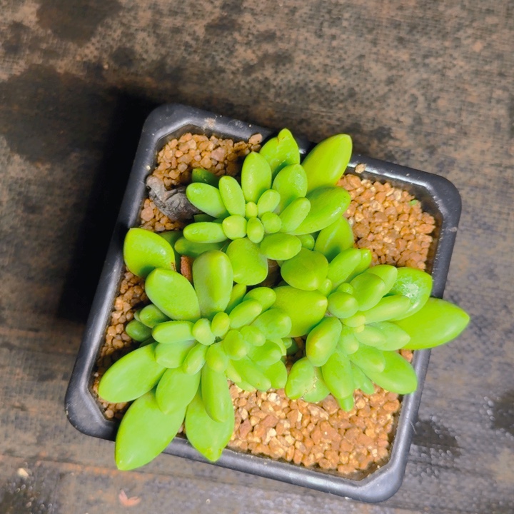 芒果福利1111111111