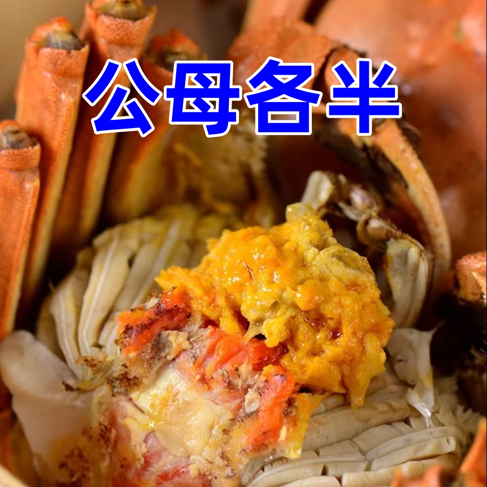 【顺丰快递】鲜活大闸蟹【公蟹3.4-3.6两+母蟹2.4-2.7】10只装