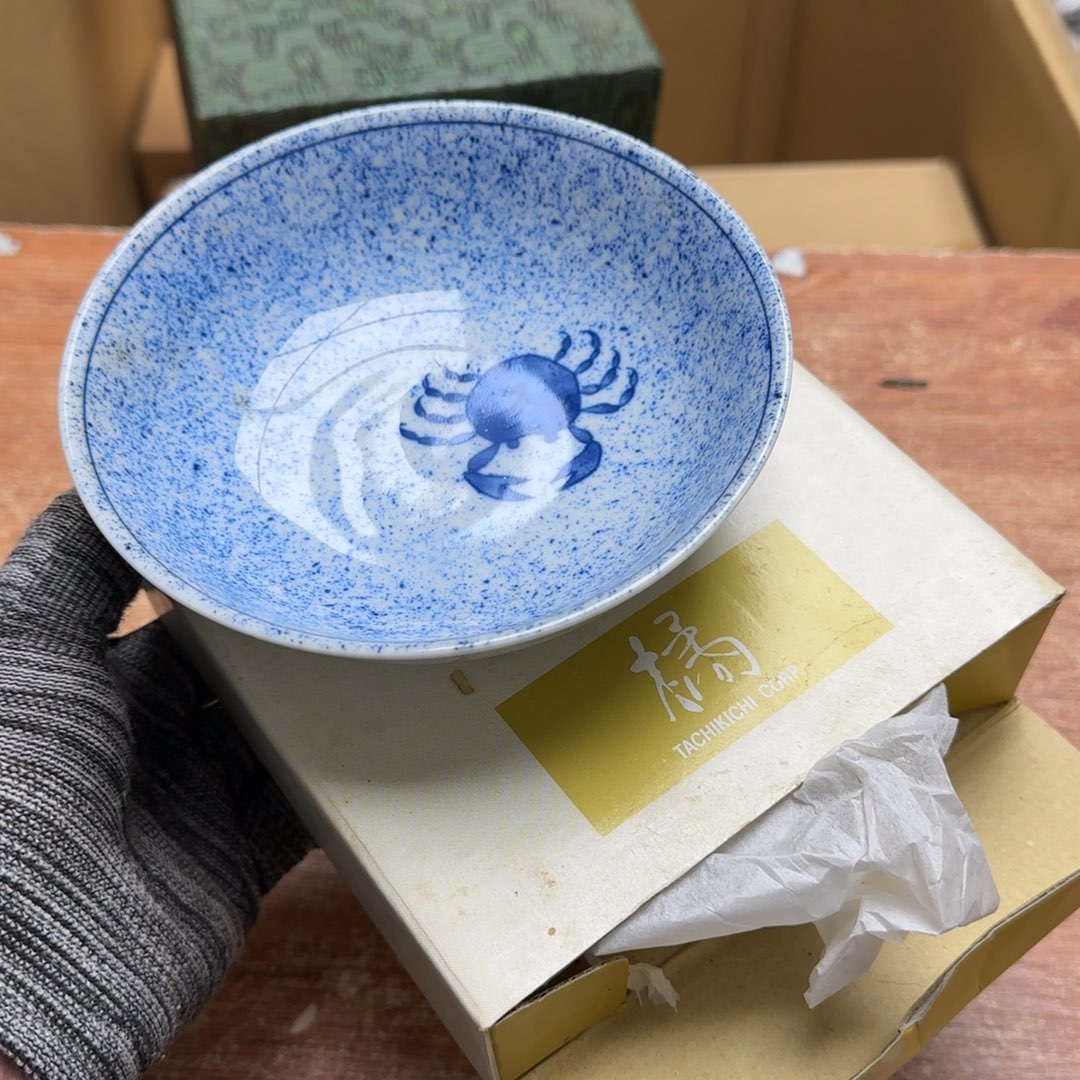 茶宠青春之星和小清新