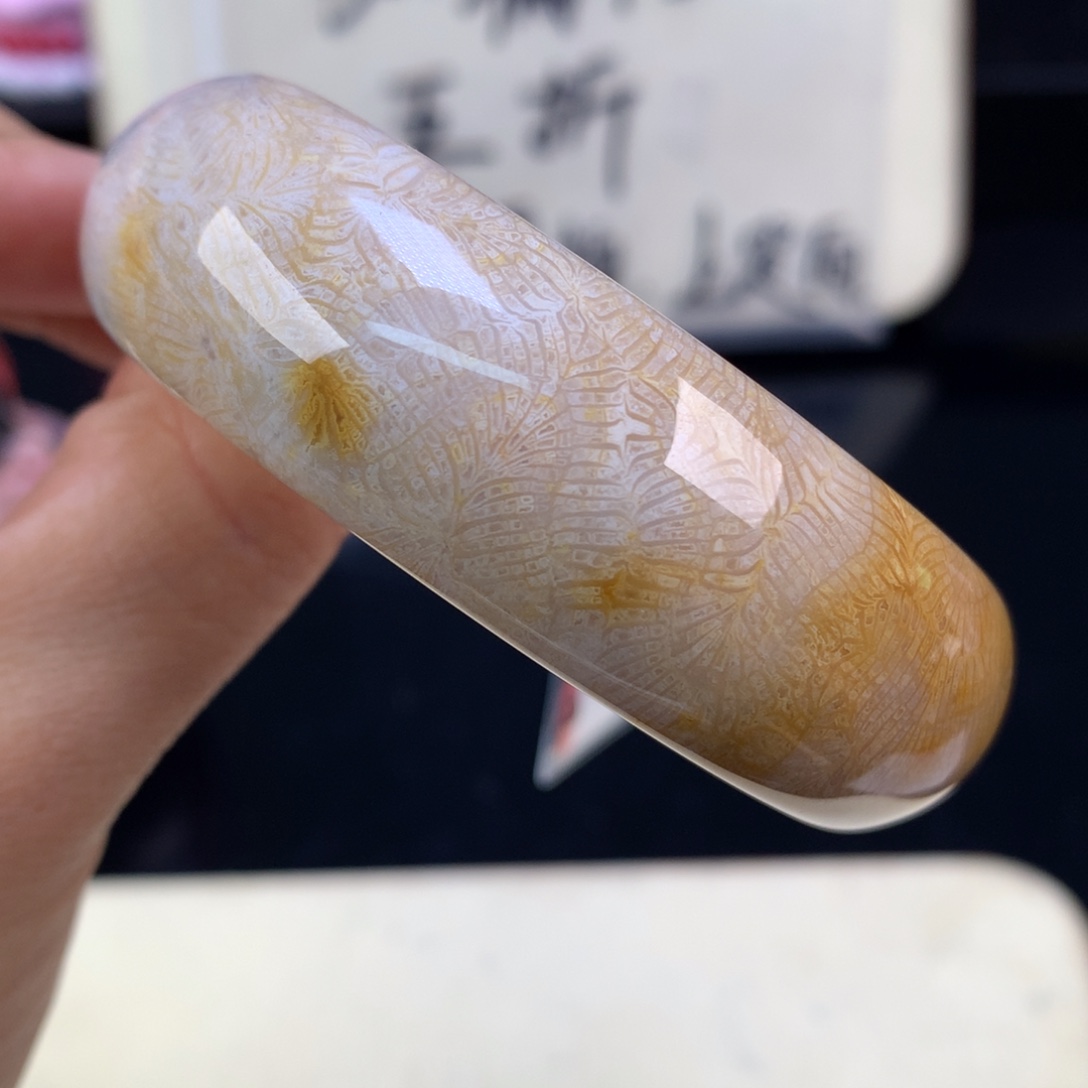 硅化珊瑚（珊瑚玉）未镶嵌吊坠(赠链)五折凤尾56.6圈口（19号）