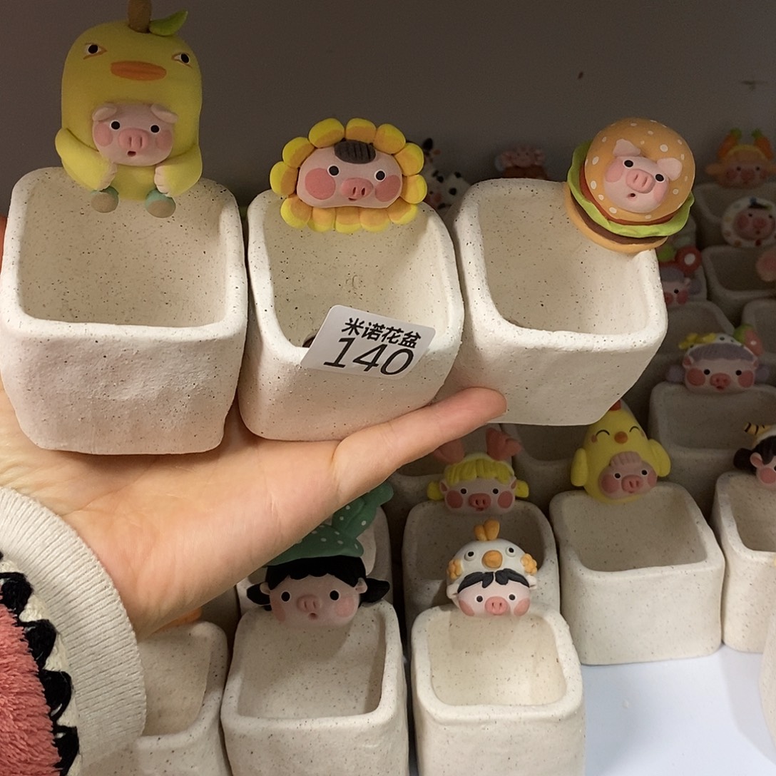 এ***妮米诺多肉植物花盆140