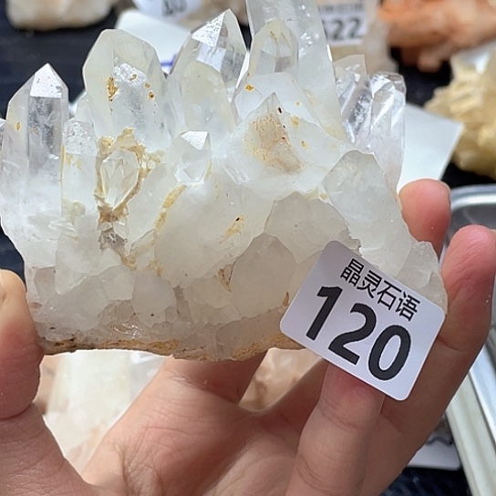 麻***虾大型摆件（非配饰）水晶未镶嵌