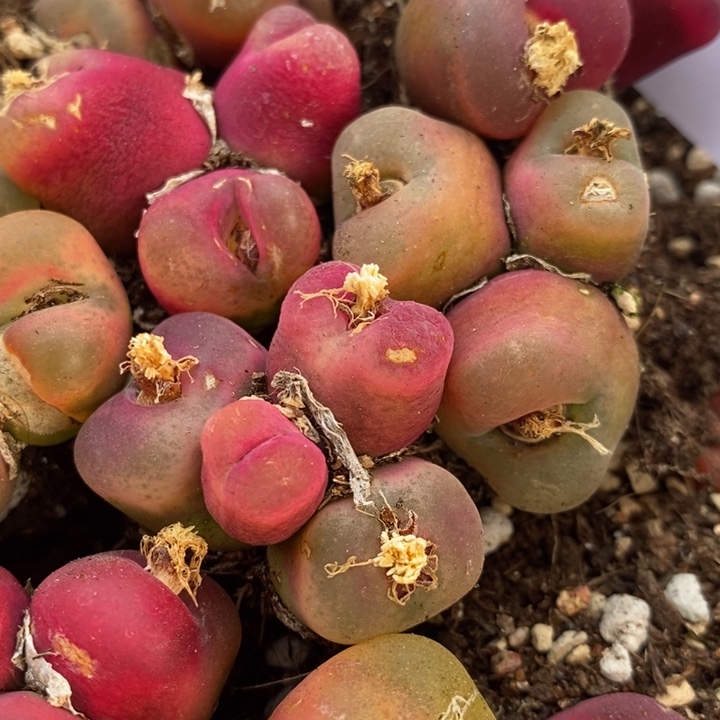 3034有伤一组一组