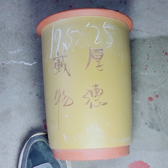 红陶紫砂紫砂这种