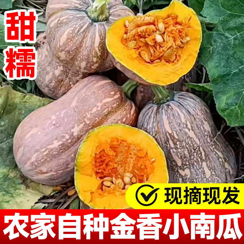农家新鲜金香黄肉小南瓜老南瓜软糯香甜自种宝宝花生南瓜当季蔬菜