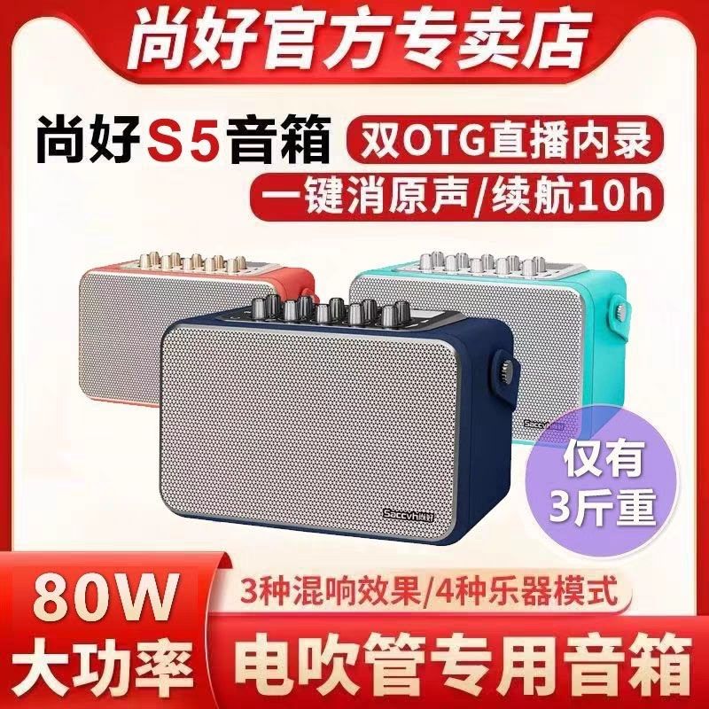 尚好音响s5专业专用乐器电吹管萨克斯电子琴蓝牙户外内录直播音箱