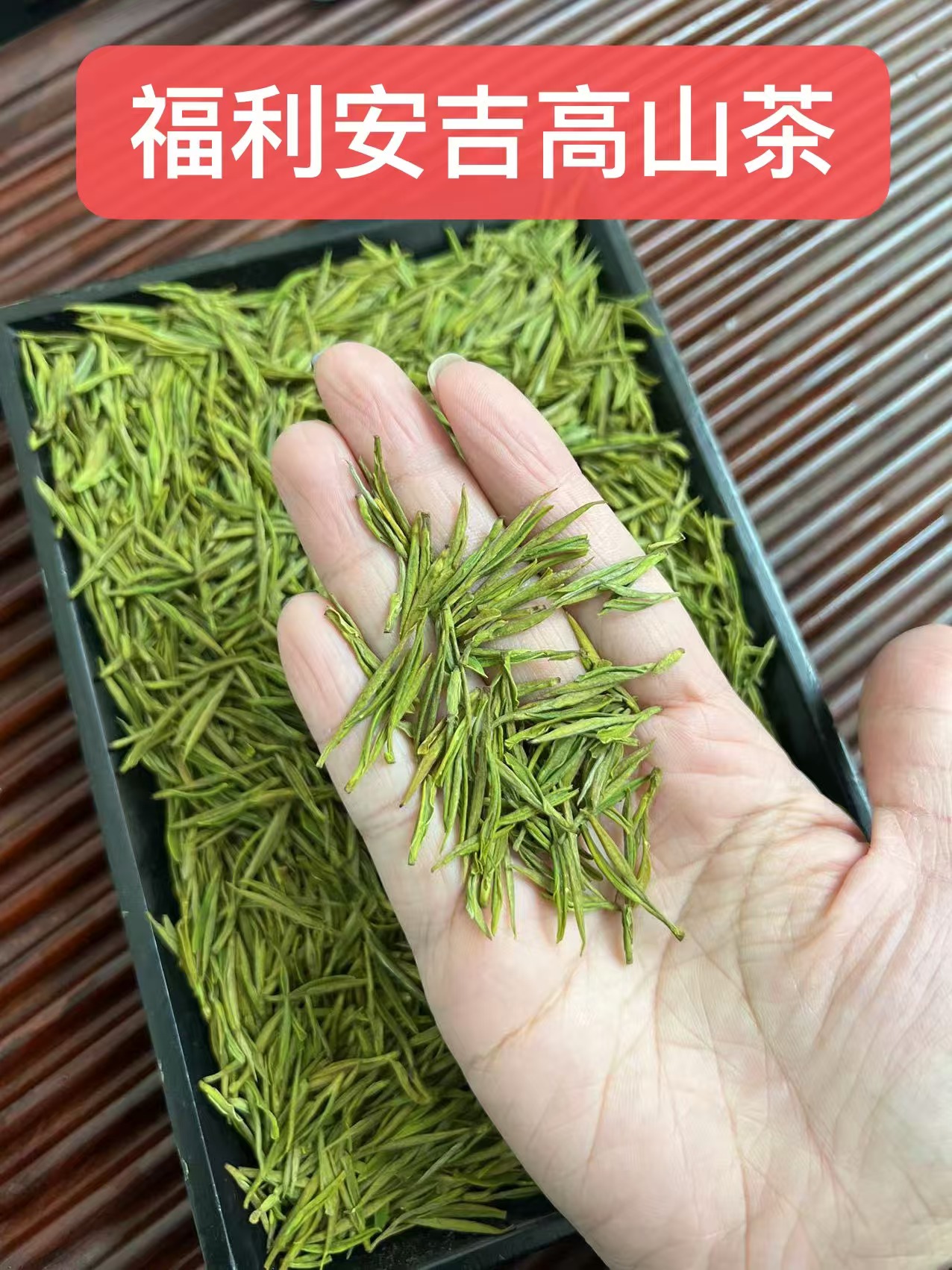 直播链接竹兰香型天荒坪明前嫩芽白茶2024新茶叶罐装高山绿茶