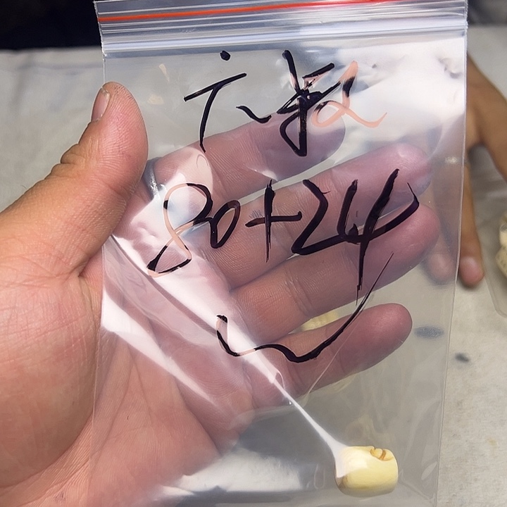 六***虾香榧木藏地金刚菩提念珠六叔