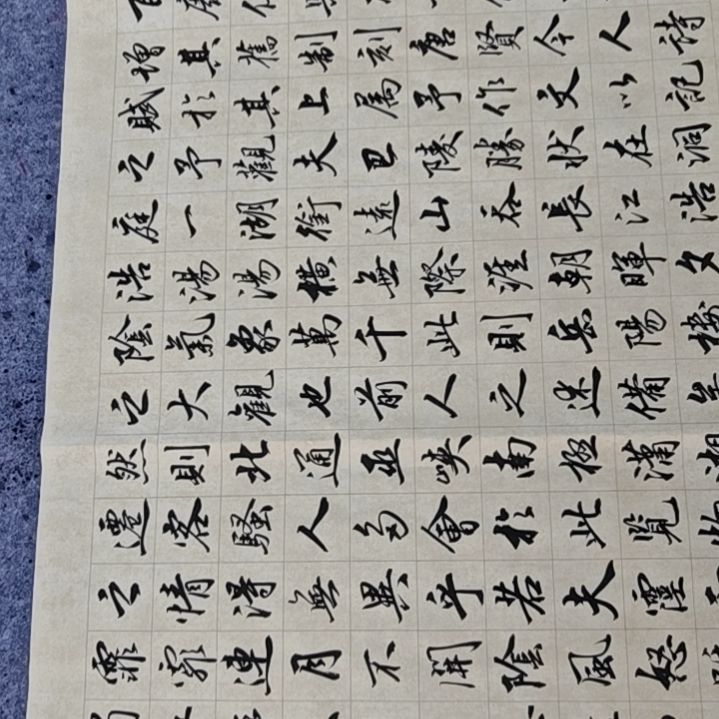 书法岳阳楼记书法作品