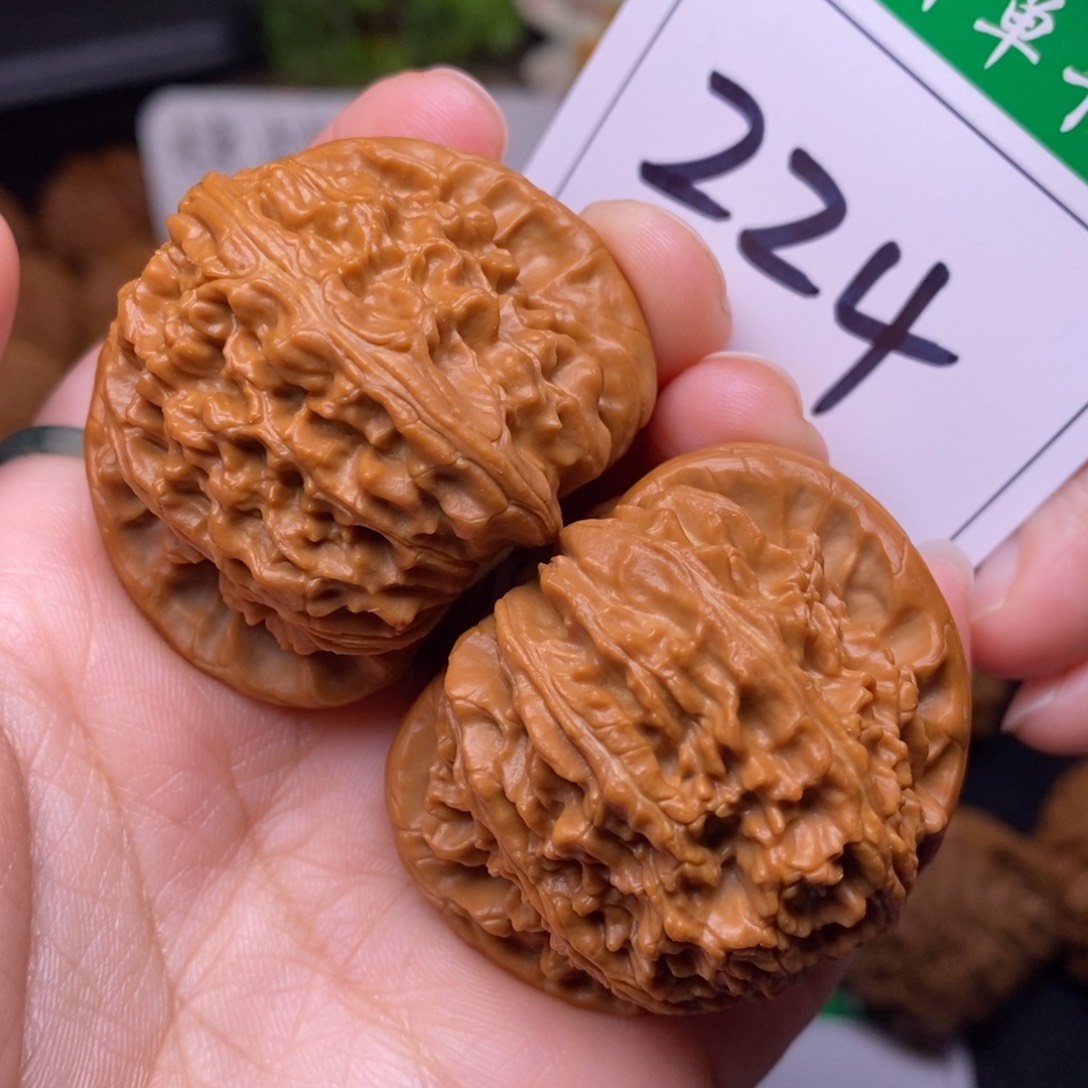 把件文玩核桃224白狮子4.3