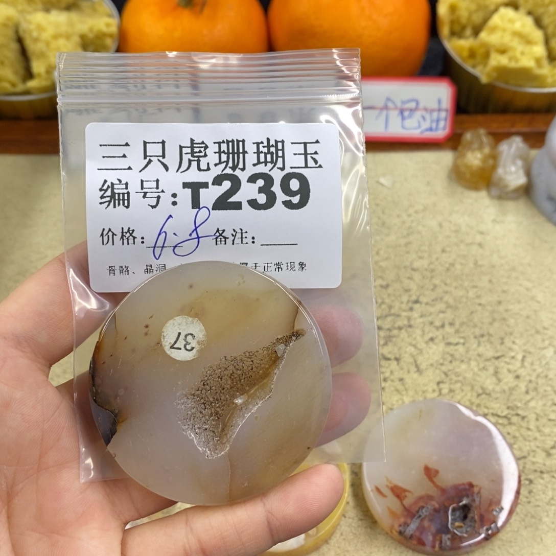 硅化珊瑚（珊瑚玉）1未镶嵌不***菜